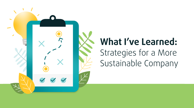 Graphic that reads 'What I've Learned: Strategies for a More Sustainable Company'