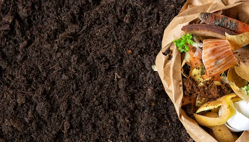 image of bag and dirt
