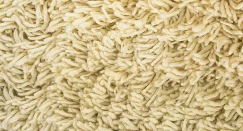 carpet